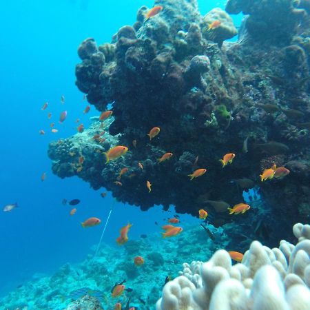 Rasdhoo Coralville Екстер'єр фото