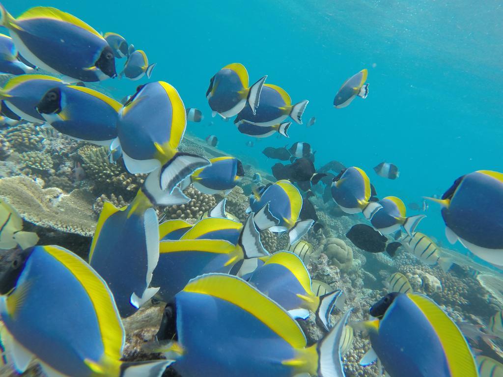 Rasdhoo Coralville Екстер'єр фото