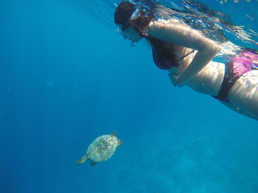 Rasdhoo Coralville Екстер'єр фото