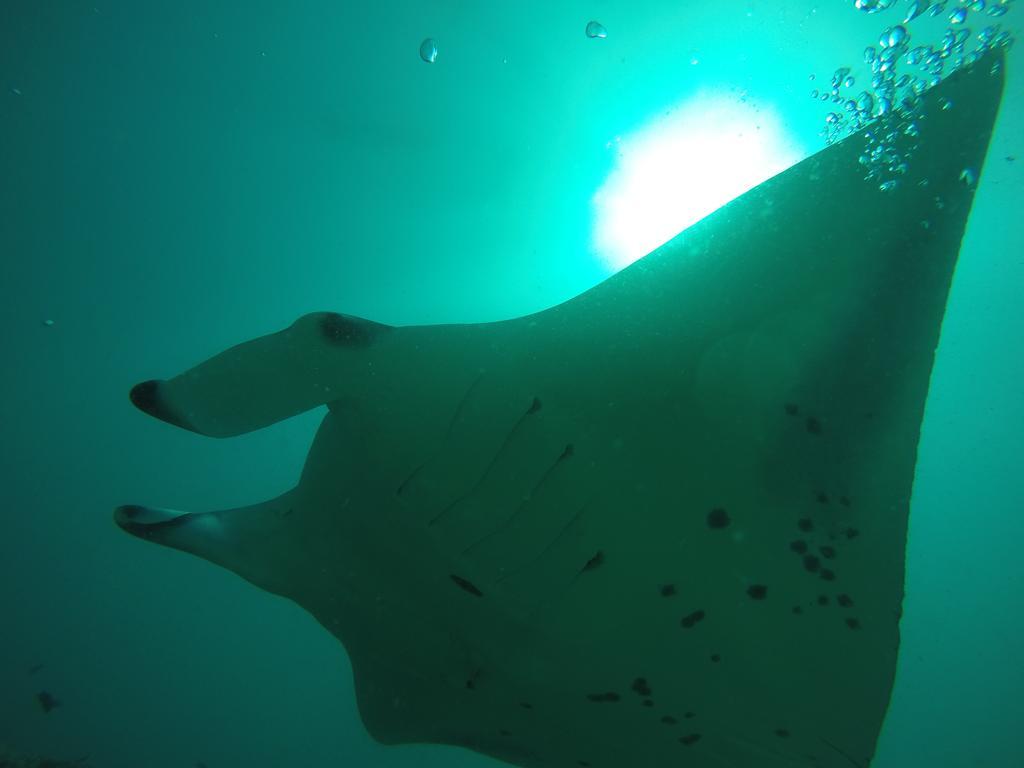 Rasdhoo Coralville Екстер'єр фото